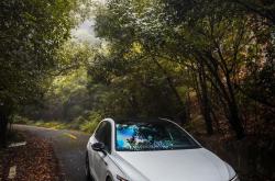 直播平台-回顾高尔夫经典时刻：传奇再现