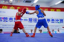 足球直播在线直播观看免费-全球瞩目！拳击赛事即将收官的简单介绍