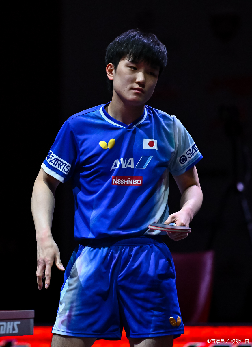 波兰乒乓球队血洗奥地利乒乓球队,张本智和制霸全场的简单介绍 波兰乒乓球队血洗奥地利乒乓球队,张本智和制霸全场的简单介绍